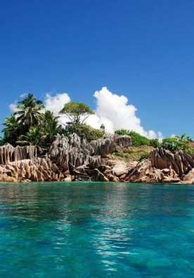 Dự án 4