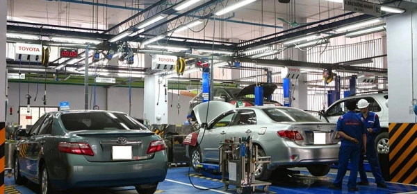 Phát triển và chuyên nghiệp hóa